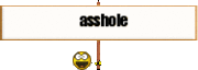 asshole